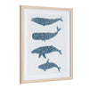 A Pod Framed Mosaic